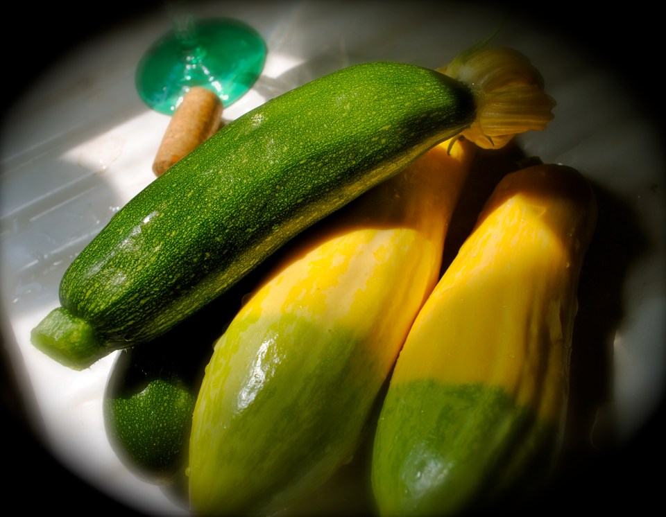 Always plant more than one kind of everything and you'll be happier!